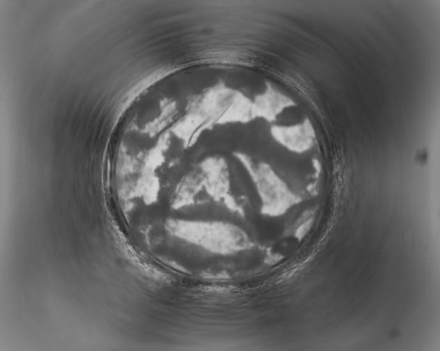 X0000115301125200911301507