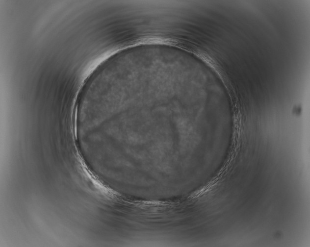 X0000115301127200911301507