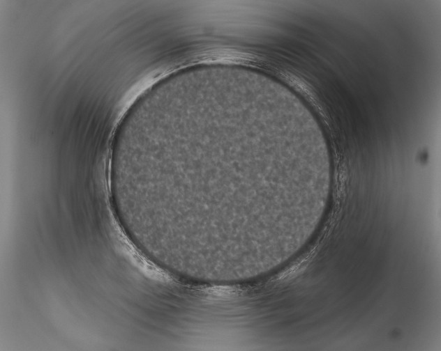 X0000115301130200911301507