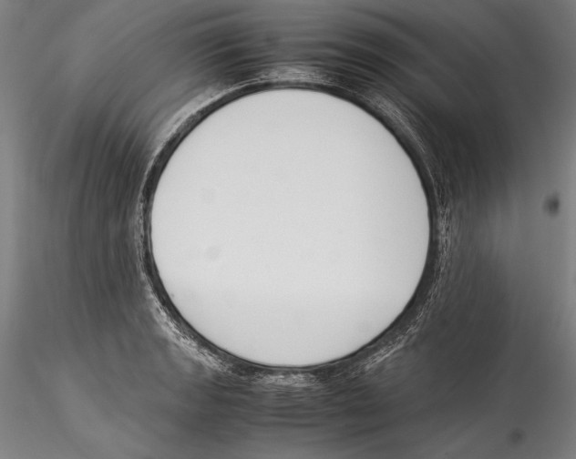 X0000115301133200911301507