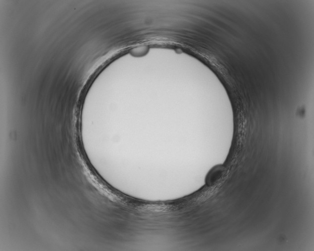 X0000115301134200911301507