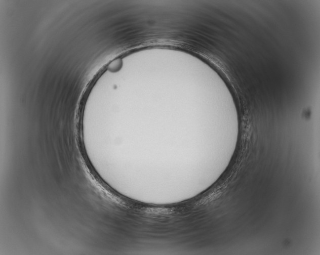 X0000115301135200911301507