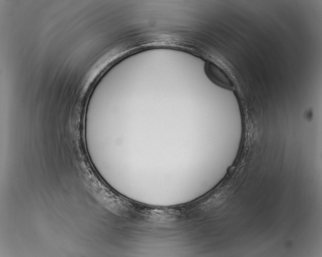 X0000115301138200911301507