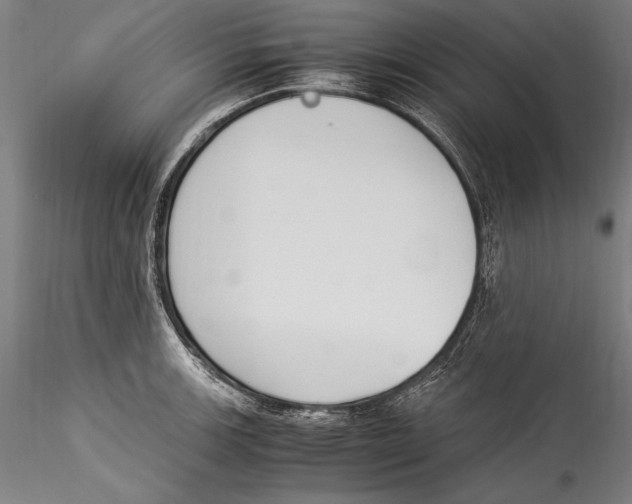 X0000115301139200911301507