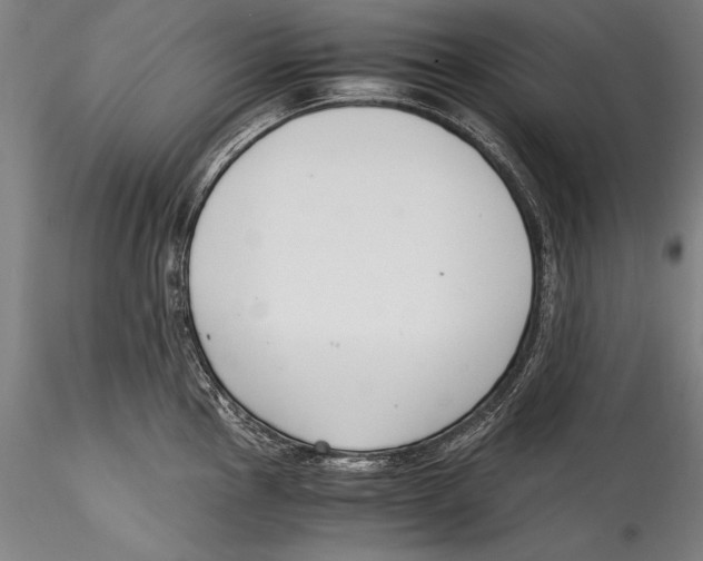 X0000115301145200911301508