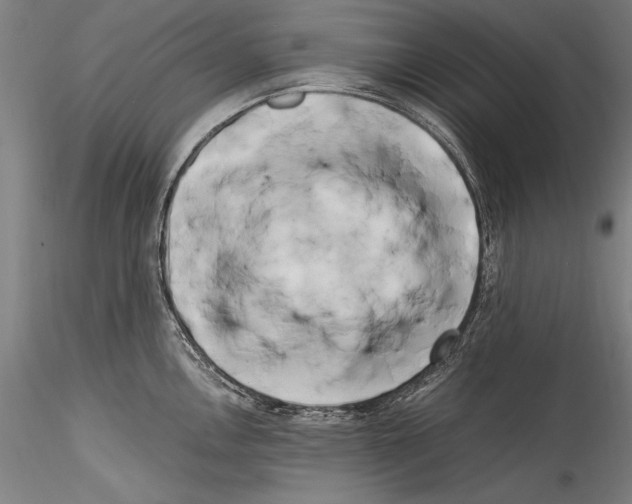 X0000115301146200911301508