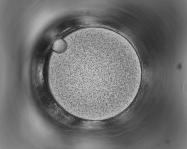 X0000115301150200911301508