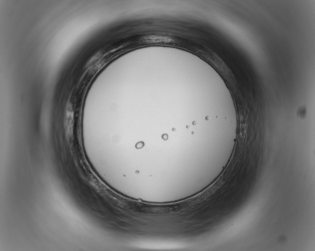 X0000115301151200911301508