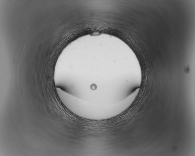 X0000115301153200911301507