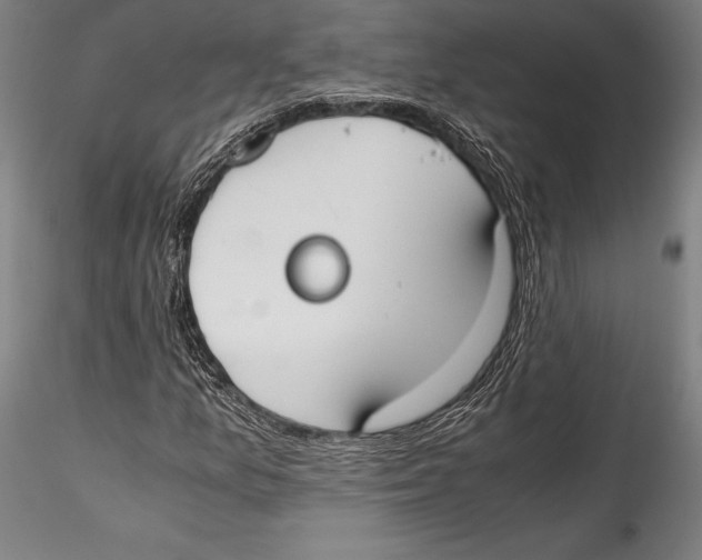 X0000115301157200911301507