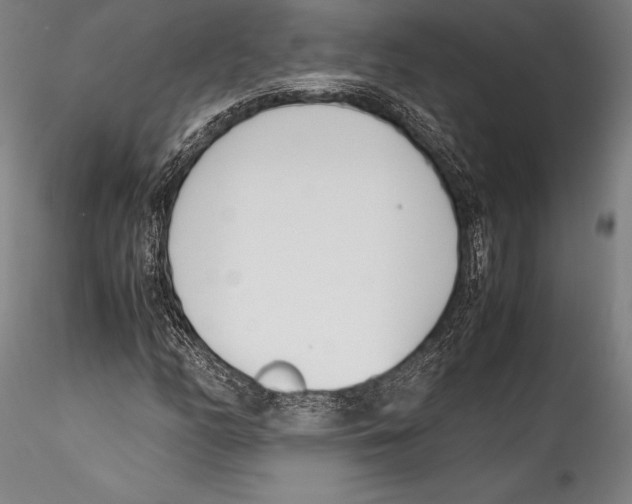 X0000115301158200911301507