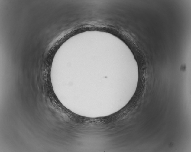 X0000115301159200911301507