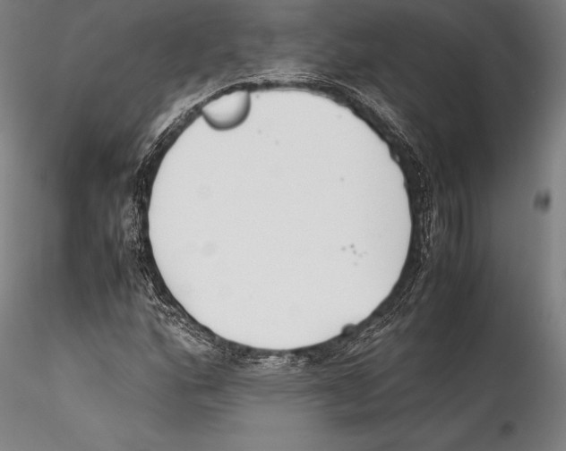 X0000115301160200911301507