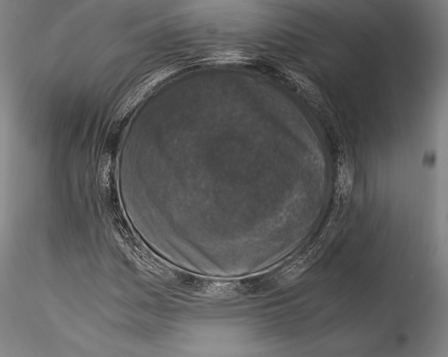 X0000115301161200911301507