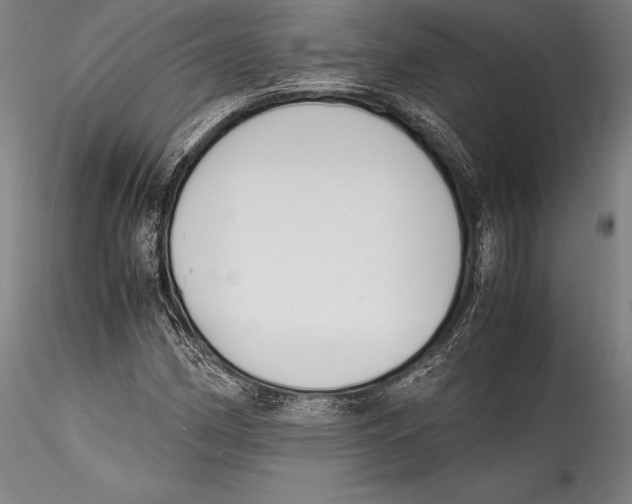 X0000115301162200911301507