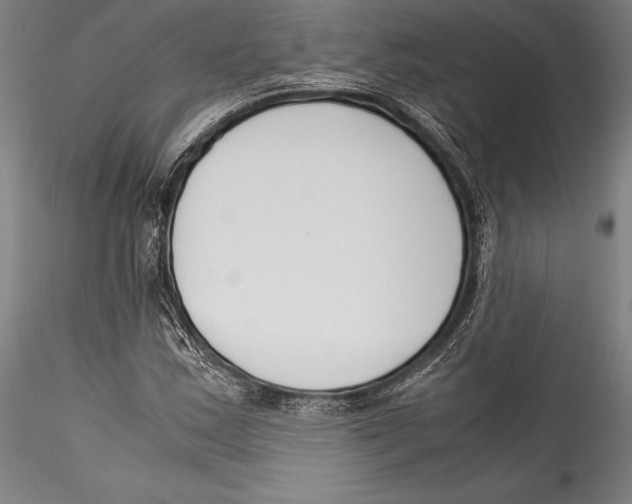 X0000115301163200911301507