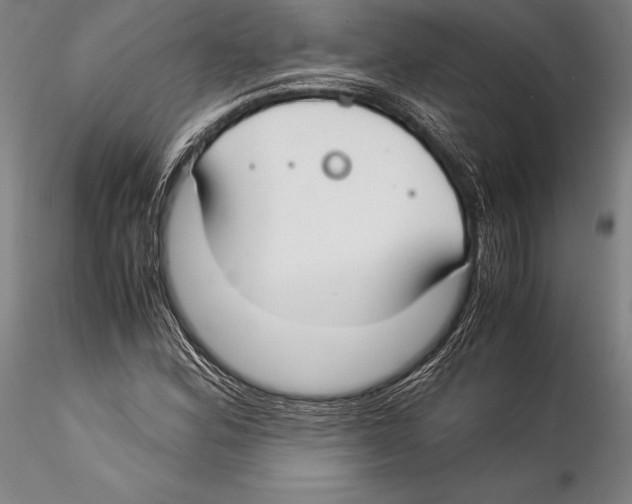 X0000115301164200911301507