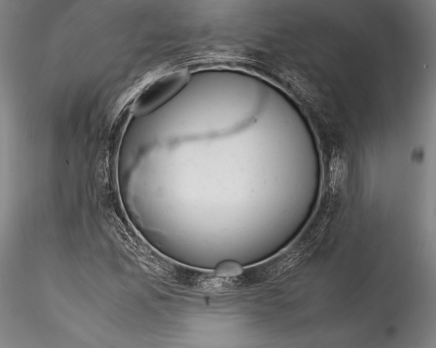 X0000115301165200911301507