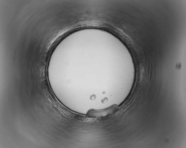 X0000115301166200911301507