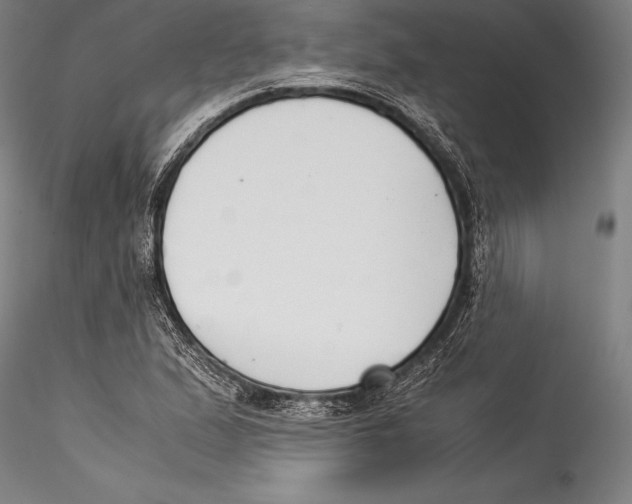 X0000115301167200911301507