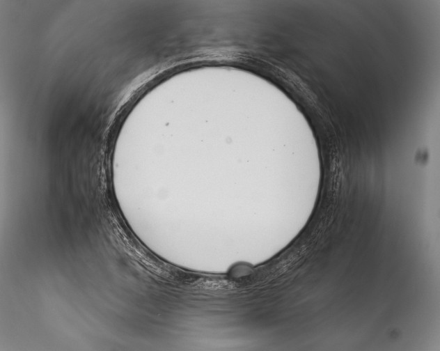 X0000115301168200911301507