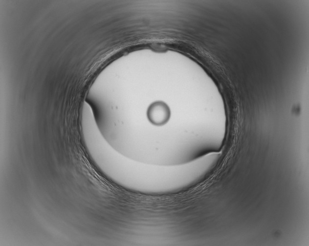 X0000115301169200911301507