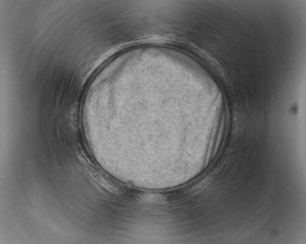 X0000115301170200911301507