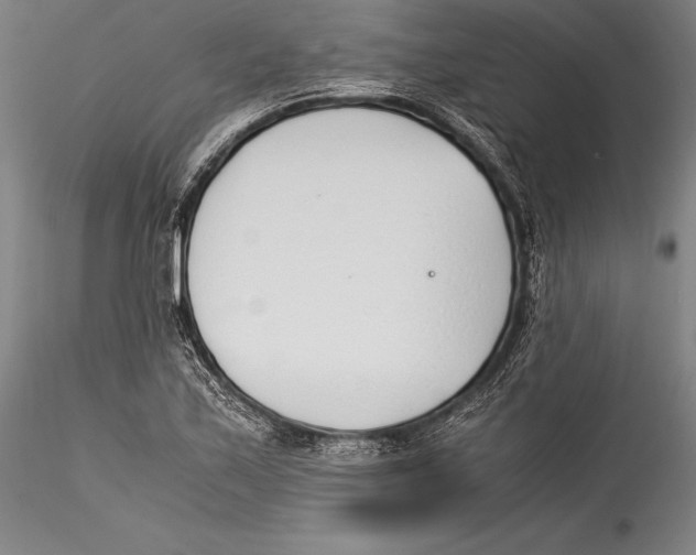 X0000115301171200911301507