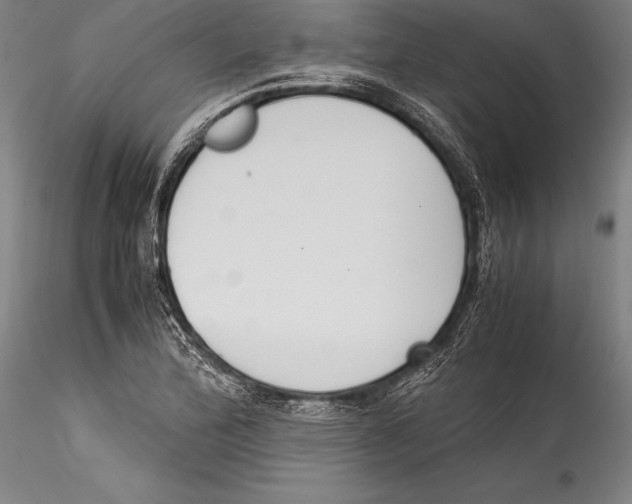 X0000115301172200911301507