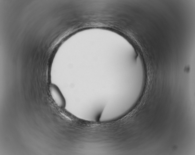 X0000115301173200911301507