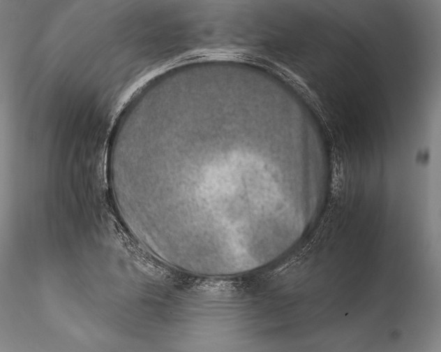 X0000115301174200911301507