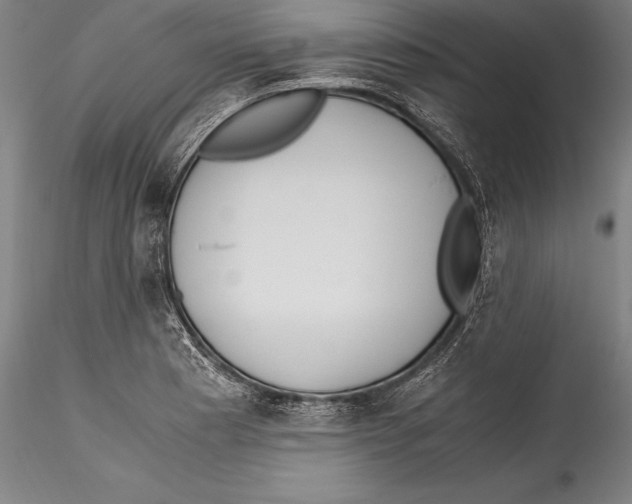 X0000115301177200911301506