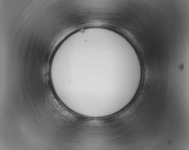 X0000115301178200911301506