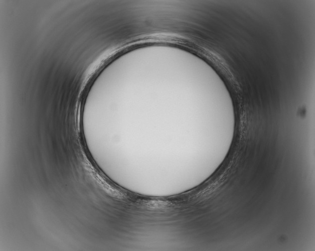 X0000115301180200911301506