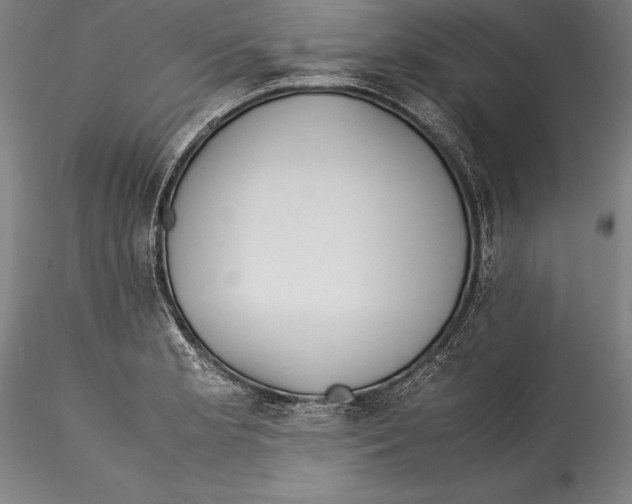 X0000115301181200911301506