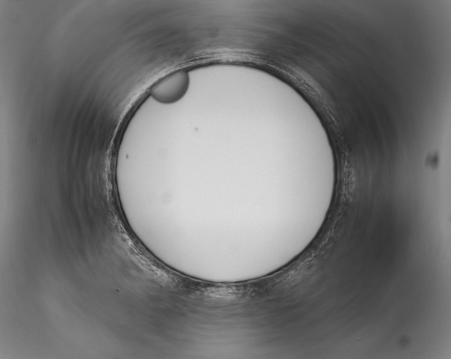 X0000115301182200911301506