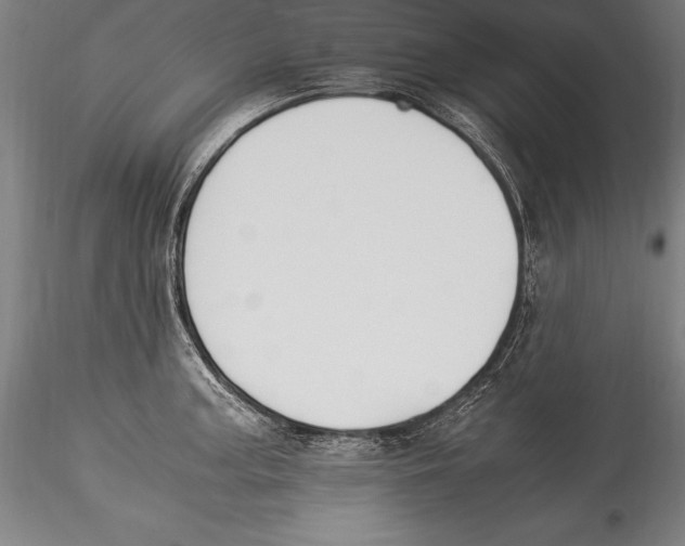 X0000115301187200911301506