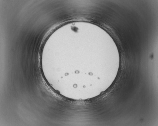 X0000115301188200911301506