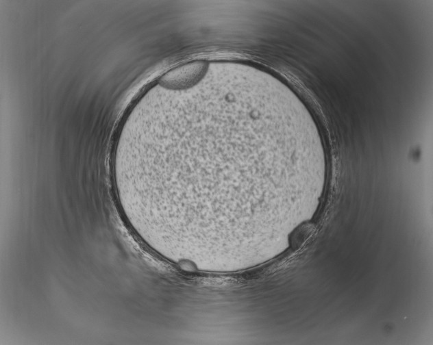 X0000115301189200911301506