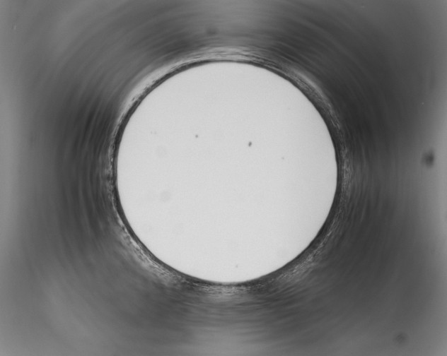 X0000115301192200911301506