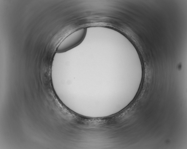 X0000115301193200911301506