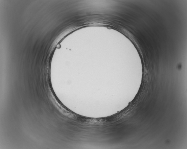 X0000115301195200911301506