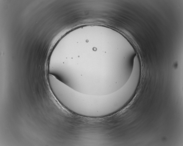 X0000115301196200911301506