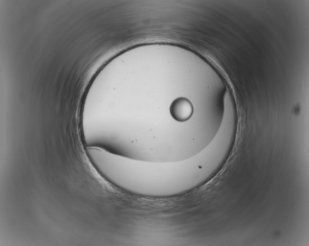 X0000115301197200911301506