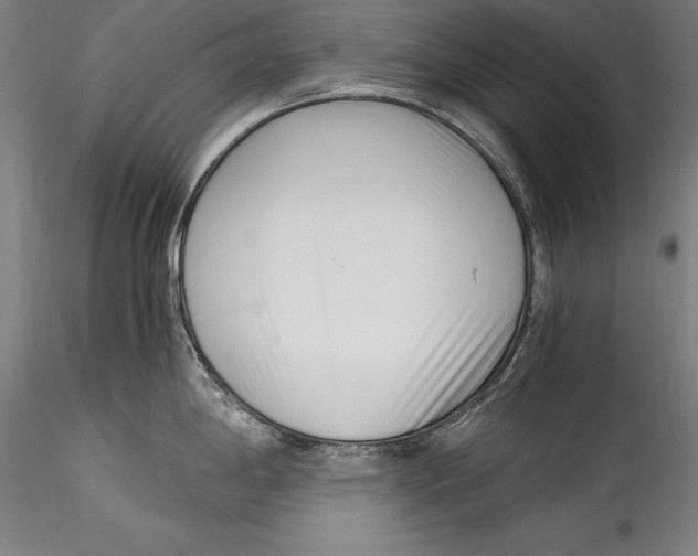 X0000115301198200911301506