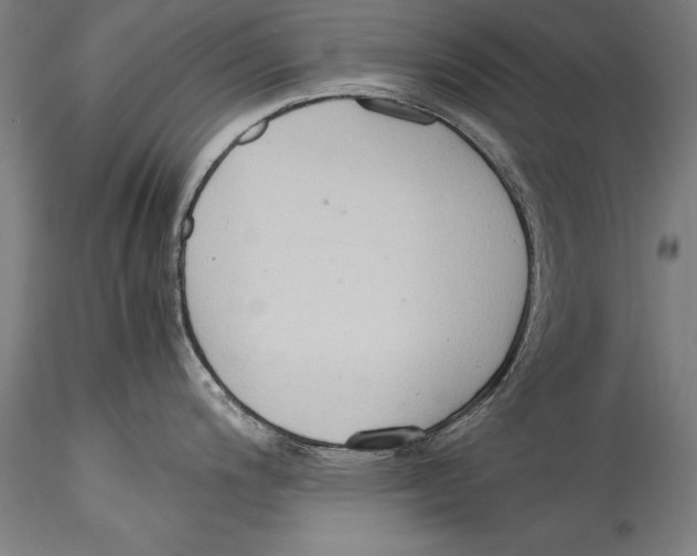 X0000115301200200911301506