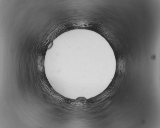 X0000115301202200911301506