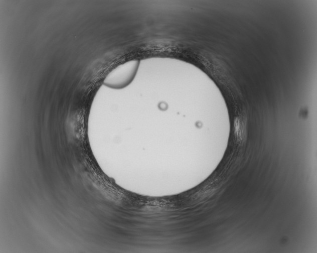 X0000115301203200911301506