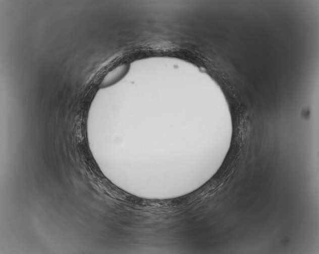 X0000115301205200911301506