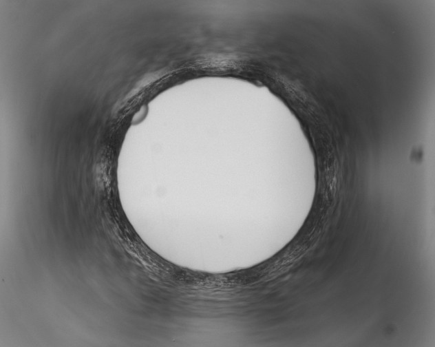 X0000115301206200911301506